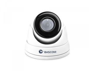 Caméra dôme sans fil PRO - Bascom