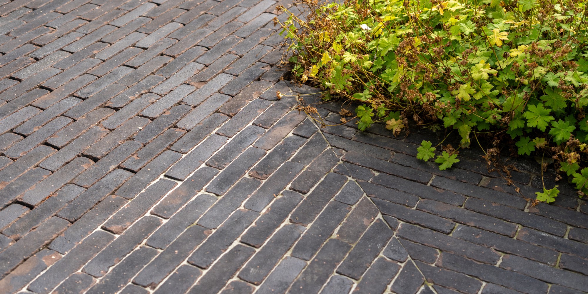 Kleiklinkers: hoeveel heb je nodig en wat kosten ze?