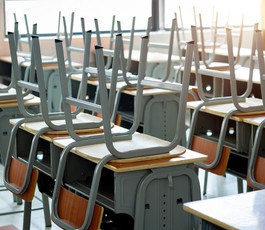 Scholen